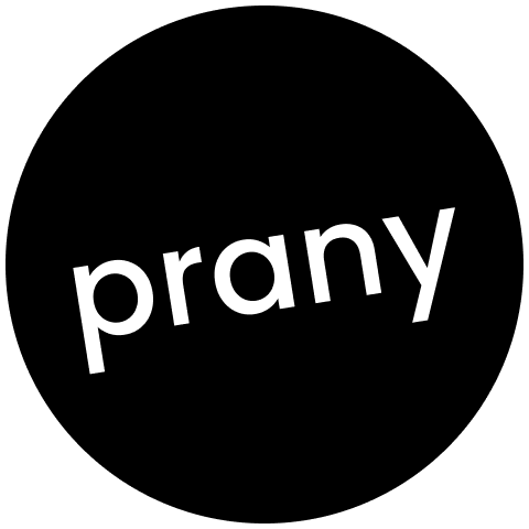 Prany Logo